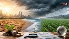Stock Market Investors Beware: A Super El Niño Could Ruin Your Investment Plans