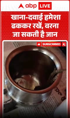 Viral News: Always Keep Food and Medicines Covered, or It Could Be Life-Threatening