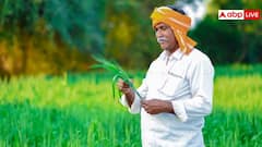 अगर की ये गलती तो नहीं मिलेगा पीएम फसल बीमा योजना का लाभ, किसान भाई जान लें अपने काम की बात