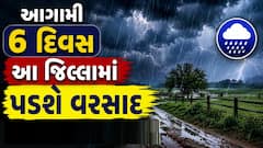 Gujarat Weather : રાજ્યમાં 26 જૂન સુધી આ જિલ્લામાં ગાજવીજ અને ભારે પવન સાથે વરસાદની આગાહી