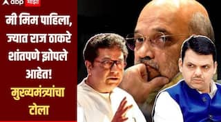 मी मिम पाहिला, ज्यात राज ठाकरे शांतपणे झोपलेले आहेत; फडणवीसांकडून मनसेप्रमुखांची फिरकी, ओमराजेंसाठी शिंदेंची बॅटींग