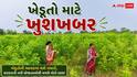MSP Procurement 2026: ખેડૂતો માટે આવ્યા ખુશખબર, મગ, અડદ અને મગફળીની MSP પર થશે ખરીદી