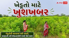 MSP Procurement 2026: ખેડૂતો માટે આવ્યા ખુશખબર, મગ, અડદ અને મગફળીની MSP પર થશે ખરીદી
