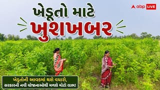 MSP Procurement 2026: ખેડૂતો માટે આવ્યા ખુશખબર, મગ, અડદ અને મગફળીની MSP પર થશે ખરીદી