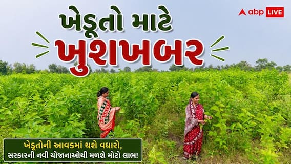 MSP Procurement 2026: ખેડૂતો માટે આવ્યા ખુશખબર, મગ, અડદ અને મગફળીની MSP પર થશે ખરીદી
