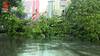 Kolkata Weather Alert: দুর্যোগে দুর্ভোগ শহরে, চাঁদনি চকে রাস্তার রেলিং ভেঙে উপড়ে গেল গাছ, সেন্ট্রাল অ্যাভিউনিউয়ের একদিকে বন্ধ যানচলাচল