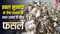 कपास के साथ इन फसलों को उगााएं, कम जगह में भी किसानों हो जाएंगे मालामाल
