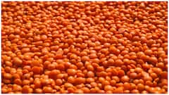 Soaking Pulses : వండే ముందు పప్పును నానబెడితే ఎంత మంచిదో తెలుసా? ఆరోగ్యానికి కలిగే ప్రయోజనాలు ఇవే