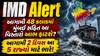 IMD Alert: આગામી 48 કલાકમાં મુંબઈ સહિત આ વિસ્તારો આભ ફાટશે? આગામી 2 દિવસ આ 5 રાજ્યો માટે ભારે!