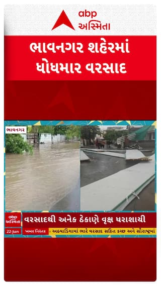 Bhavnagar Rain: ભાવનગર શહેરમાં ધોધમાર વરસાદથી શહેરના મુખ્ય માર્ગો પાણી-પાણી