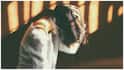 Headache Warning Signs : తలనొప్పితో పాటు ఈ లక్షణాలు కనిపిస్తే జాగ్రత్త.. అస్సలు నిర్లక్ష్యం చేయొద్దంటోన్న నిపుణులు