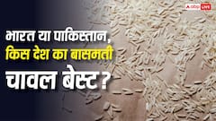 भारत या पाकिस्तान, किस देश का बासमती चावल बेस्ट? जानें खूबियां और कमियां