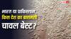 India vs Pakistan Basmat: भारत या पाकिस्तान, किस देश का बासमती चावल बेस्ट? जानें खूबियां और कमियां