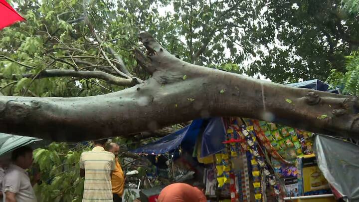 দুর্যোগের জেরে কলকাতার মেয়ো রোডে আস্ত গাছ উপড়ে পড়েছে।  প্রবল বৃষ্টির জেরে মেয়ো রোডের আরেকটি অংশেও ভেঙে পড়েছে গাছ