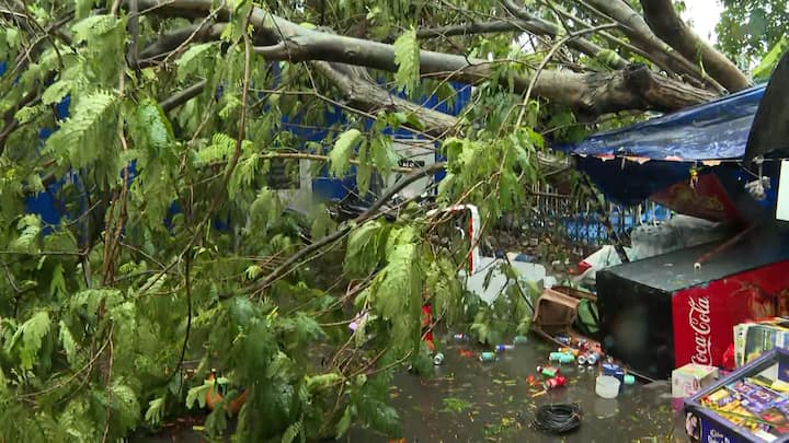 আবহাওয়া বিশেষজ্ঞদের মতে, আগামী ২৪ ঘণ্টাতেও দক্ষিণবঙ্গের একাধিক জেলায় বজ্রবিদ্যুৎ-সহ মাঝারি থেকে ভারী বৃষ্টির সম্ভাবনা রয়েছে। বিশেষ করে পশ্চিম বর্ধমান, বীরভূম, বাঁকুড়া, পুরুলিয়া, পশ্চিম মেদিনীপুর এবং ঝাড়গ্রামের মতো পশ্চিমাঞ্চলের জেলাগুলিতে বৃষ্টির পরিমাণ তুলনামূলক বেশি হতে পারে।