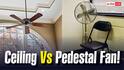 Ceiling Fan या Pedestal Fan! जानें 24 घंटे चलने पर किसकी बिजली खपत है ज्यादा