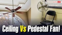 Ceiling Fan या Pedestal Fan! जानें 24 घंटे चलने पर किसकी बिजली खपत है ज्यादा