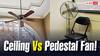 Ceiling Fan या Pedestal Fan! जानें 24 घंटे चलने पर किसकी बिजली खपत है ज्यादा