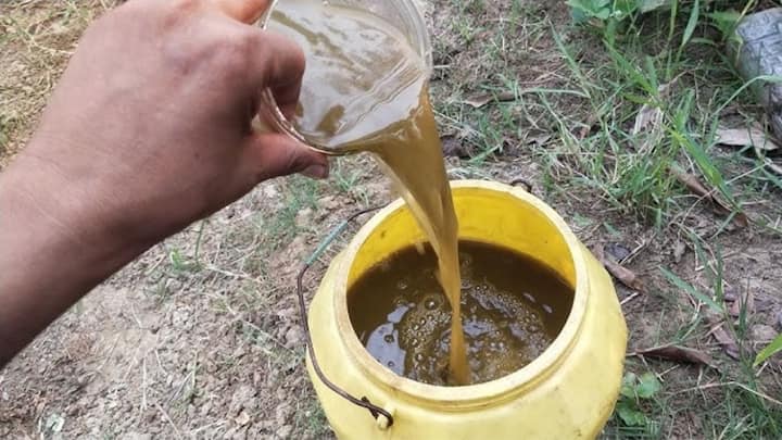 सीएनजी बनाने का प्रोसेस थोड़ा बड़ा होता है. सबसे पहले भारी मात्रा में गोबर इकट्ठा करके उसे पानी के साथ मिक्स किया जाता है और एक बड़े डाइजेस्टर टैंक में डाला जाता है. यहां गोबर के सड़ने से बायोगैस बनती है जिसमें मीथेन के साथ कार्बन डाइऑक्साइड और कई तरह की अशुद्धियां मौजूद होती हैं.