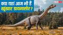 इस जगह आज भी जिंदा हैं डायनासोर! जंगलों से आती हैं अजीब तरह की आवाजें