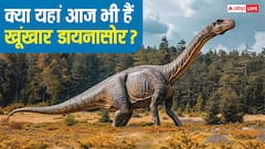इस जगह आज भी जिंदा हैं डायनासोर! जंगलों से आती हैं अजीब तरह की आवाजें