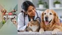 ABP Live Pet First | 5 Veterinarian Tips To Keep Your Senior Pet Healthy As They Age