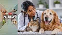ABP Live Pet First | 5 Veterinarian Tips To Keep Your Senior Pet Healthy As They Age