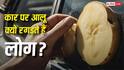 कार के शीशे पर आलू रगड़ने से क्या होता है? वजह जानकर रह जाएंगे हैरान