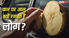 कार के शीशे पर आलू रगड़ने से क्या होता है? वजह जानकर रह जाएंगे हैरान