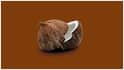 Raw Coconut Benefits : పచ్చి కొబ్బరి తింటే ఇన్ని లాభాలా? జీర్ణక్రియ, బరువు తగ్గడం నుంచి రోగనిరోధక శక్తి వరకు