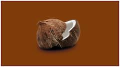 Raw Coconut Benefits : పచ్చి కొబ్బరి తింటే ఇన్ని లాభాలా? జీర్ణక్రియ, బరువు తగ్గడం నుంచి రోగనిరోధక శక్తి వరకు
