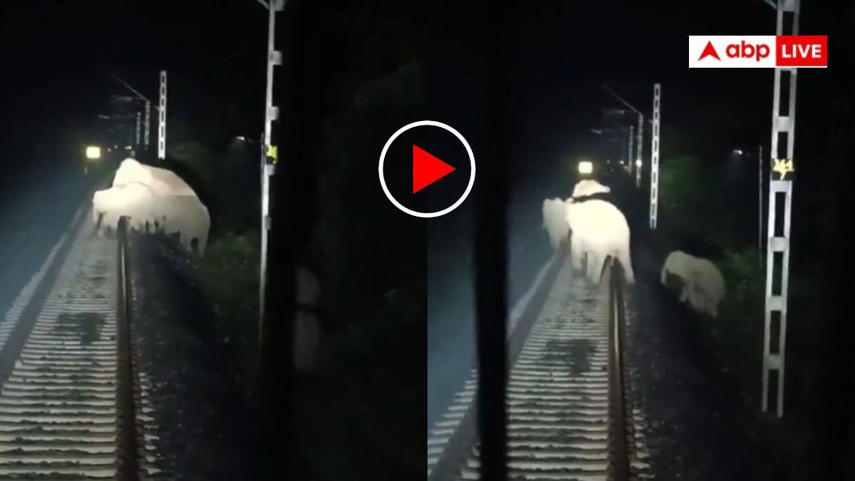 तेज रफ्तार राजधानी एक्सप्रेस के सामने अचानक आए हाथी, फिर लोको पायलट ने ऐसे बचाई जान, सलाम कर रहे यूजर्स