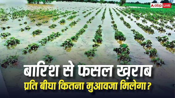 ज्यादा बारिश से फसल खराब हो जाने पर प्रति बीघा कितना मुआवजा देती है सरकार? ज्यादा बारिश से फसल खराब हो जाने पर प्रति बीघा कितना मुआवजा देती है सरकार?