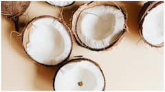 Raw Coconut Benefits : పచ్చి కొబ్బరి తింటే ఇన్ని లాభాలా? జీర్ణక్రియ, బరువు తగ్గడం నుంచి రోగనిరోధక శక్తి వరకు