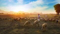 रेगिस्तान में आसानी से कर सकते हैं इन सब्जियों की खेती, धूप हो या बारिश कभी नहीं थमेगा काम