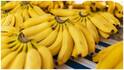 Best Fruits for Managing Uric Acid : యూరిక్ యాసిడ్ ఎక్కువగా ఉందా? నొప్పులు, వాపులను తగ్గించుకునేందుకు ఈ పండ్లు తినేయండి