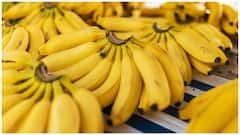 Best Fruits for Managing Uric Acid : యూరిక్ యాసిడ్ ఎక్కువగా ఉందా? నొప్పులు, వాపులను తగ్గించుకునేందుకు ఈ పండ్లు తినేయండి