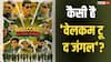 Welcome to The Jungle First Review: अक्षय कुमार- सुनील शेट्टी-परेश रावल की तिकड़ी ने मचाया धमाल, यूजर्स बोले- पैसा वसूल, सुपरफनी है