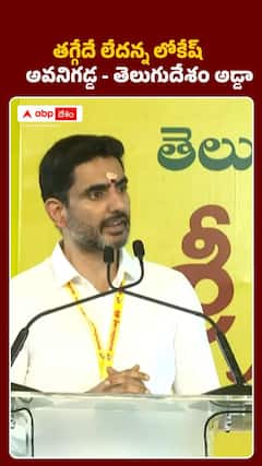 అవనిగడ్డ - తెలుగుదేశం అడ్డా