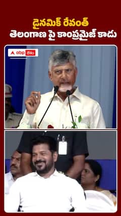 రేవంత్‌ను పొగిడిన సీఎం చంద్రబాబు