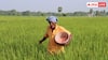 Maharashtra Farmer Loan: इस राज्य की सरकार माफ करने जा रही किसानों का लोन, जानिए कहीं आपकी किस्मत तो नहीं खुली