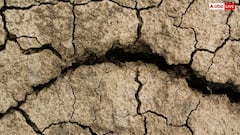 Venezuela Earthquake: पड़ोसी देशों को क्यों लगे वेनेजुएला में आए भूकंप के झटके, कैसे ट्रैवल करती हैं भूकंप की वेव्स?