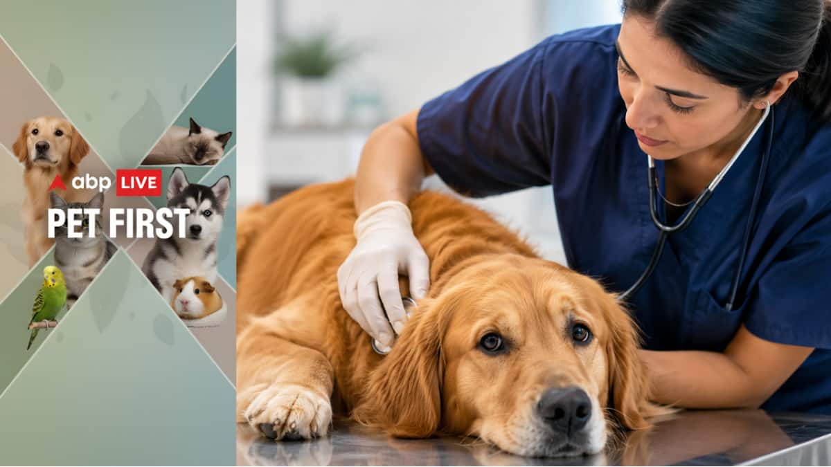 ABP Live Pet First | 10 Warning Signs That Require Immediate Veterinary Attention