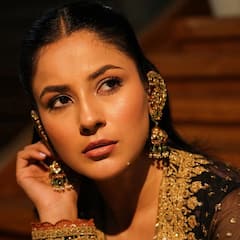 भांगेत कुंकू अन् नववधू साज; नव्या नवरीसारखी सजली 'ही' 32 वर्षांची अविवाहित अभिनेत्री, गुपचूप उरकलं लग्न?