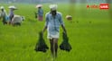 Fasal Bima Yojana Rules: एक किसान कितनी बार ले सकता है फसल बीमा योजना का मुआवजा, जानें क्या हैं नियम?
