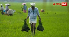 Fasal Bima Yojana Rules: एक किसान कितनी बार ले सकता है फसल बीमा योजना का मुआवजा, जानें क्या हैं नियम?