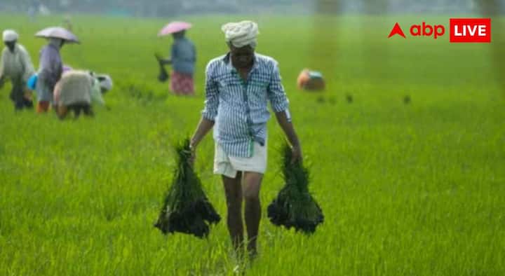 प्रधानमंत्री फसल बीमा योजना के तहत कई प्रकार की प्राकृतिक आपदाओं से होने वाले नुकसान को कवर किया जाता है. इनमें सूखा, लंबे समय तक बारिश नहीं होना, जलभराव, बाढ़, ओला बारिश, चक्रवात, प्राकृतिक आग, बिजली, कीट और रोग का प्रकोप शामिल हैं .कुछ विशेष परिस्थितियों में अगर मौसम के कारण बुवाई नहीं हो पाती या आंशिक बुवाई होती है, तब भी वित्तीय सहायता का प्रावधान है. वहीं कटाई के बाद खेत में सुखाने के दौरान चक्रवाती बारिश या बेमौसम बारिश से हुए नुकसान को भी तय नियमों के तहत कवर किया जाता है.