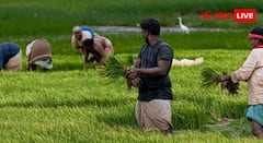 Fasal Bima Yojana Rules: एक किसान कितनी बार ले सकता है फसल बीमा योजना का मुआवजा, जानें क्या हैं नियम?
