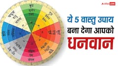 Vastu Tips: ये पांच छोटे उपाय बदल देगा आपकी किस्मत, सुख-समृद्धि और धन में होगी वृद्धि