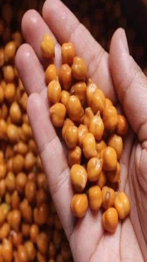 செரிமானம் முதல் மலச்சிக்கல் வரை.. கொண்டைக்கடலை செய்யும் அற்புதங்கள தெரிஞ்சுக்கோங்க.!